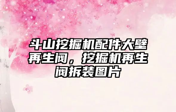 斗山挖掘機配件大壁再生閥，挖掘機再生閥拆裝圖片