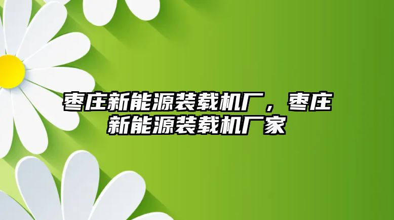 棗莊新能源裝載機廠，棗莊新能源裝載機廠家