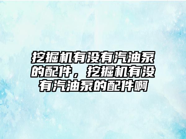 挖掘機有沒有汽油泵的配件，挖掘機有沒有汽油泵的配件啊