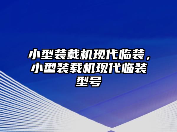 小型裝載機現代臨裝，小型裝載機現代臨裝型號