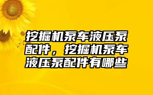 挖掘機泵車液壓泵配件，挖掘機泵車液壓泵配件有哪些