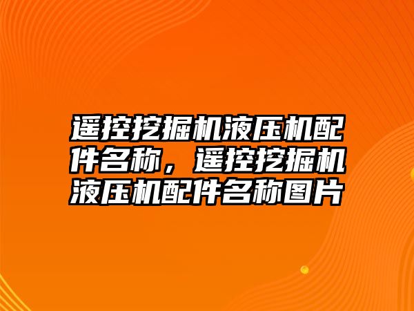 遙控挖掘機液壓機配件名稱，遙控挖掘機液壓機配件名稱圖片