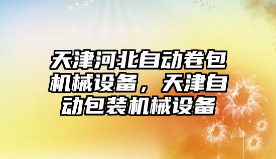 天津河北自動卷包機械設備，天津自動包裝機械設備