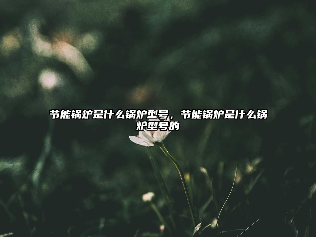 節能鍋爐是什么鍋爐型號，節能鍋爐是什么鍋爐型號的