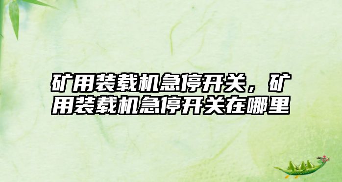 礦用裝載機急停開關，礦用裝載機急停開關在哪里