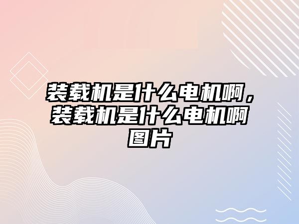 裝載機是什么電機啊，裝載機是什么電機啊圖片