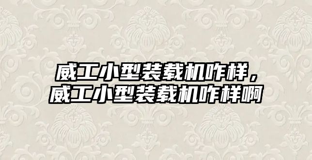 威工小型裝載機咋樣，威工小型裝載機咋樣啊