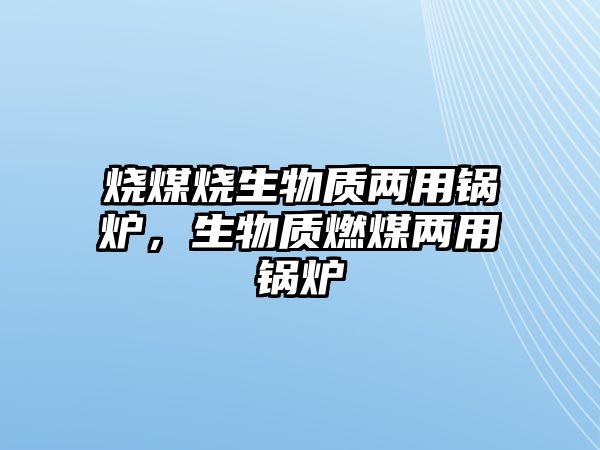 燒煤燒生物質兩用鍋爐，生物質燃煤兩用鍋爐