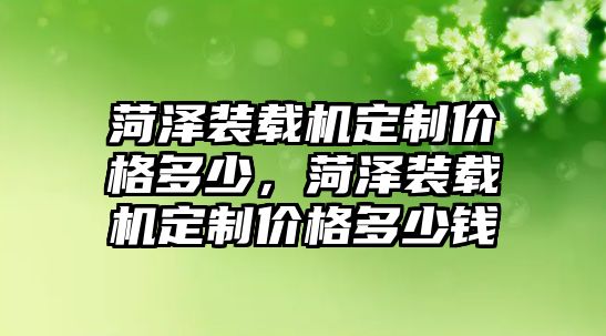 菏澤裝載機定制價格多少，菏澤裝載機定制價格多少錢