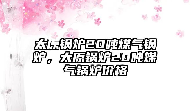 太原鍋爐20噸煤氣鍋爐，太原鍋爐20噸煤氣鍋爐價格