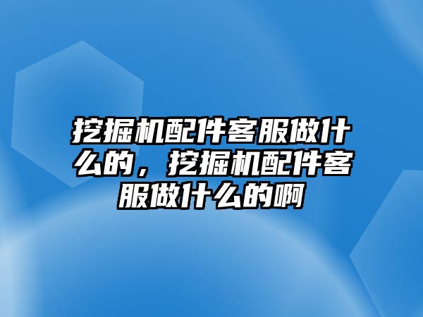 挖掘機配件客服做什么的，挖掘機配件客服做什么的啊