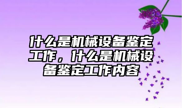 什么是機械設備鑒定工作，什么是機械設備鑒定工作內容