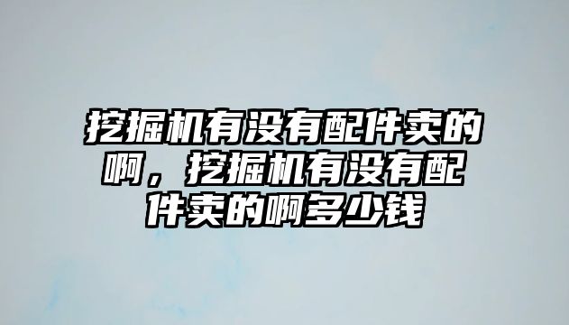 挖掘機(jī)有沒(méi)有配件賣(mài)的啊，挖掘機(jī)有沒(méi)有配件賣(mài)的啊多少錢(qián)