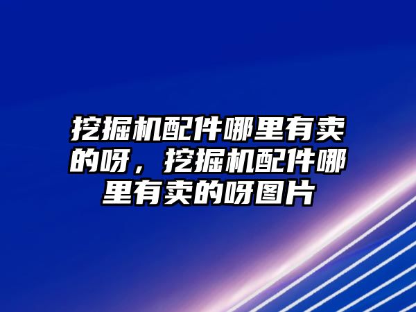 挖掘機配件哪里有賣的呀，挖掘機配件哪里有賣的呀圖片