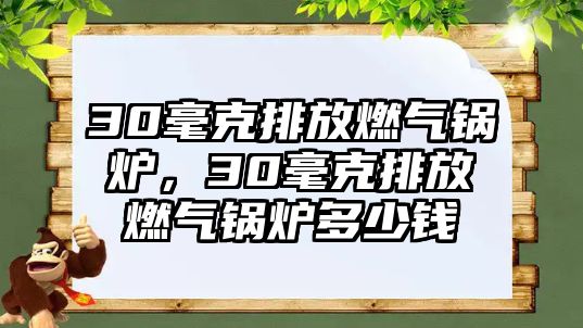 30毫克排放燃?xì)忮仩t，30毫克排放燃?xì)忮仩t多少錢