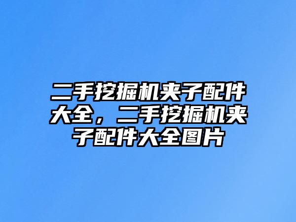 二手挖掘機(jī)夾子配件大全，二手挖掘機(jī)夾子配件大全圖片