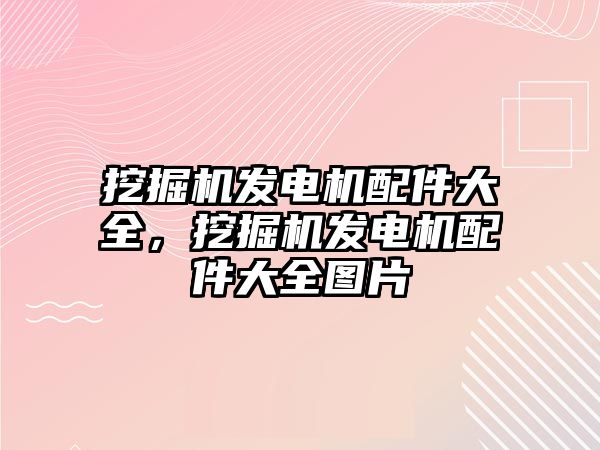 挖掘機發電機配件大全，挖掘機發電機配件大全圖片