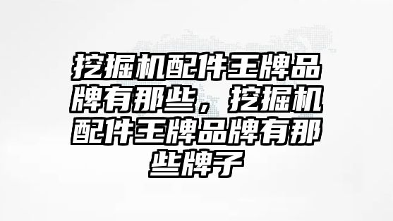 挖掘機(jī)配件王牌品牌有那些，挖掘機(jī)配件王牌品牌有那些牌子