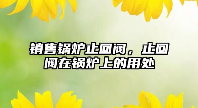 銷(xiāo)售鍋爐止回閥，止回閥在鍋爐上的用處