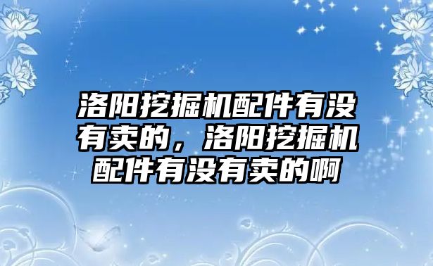 洛陽(yáng)挖掘機(jī)配件有沒(méi)有賣(mài)的，洛陽(yáng)挖掘機(jī)配件有沒(méi)有賣(mài)的啊