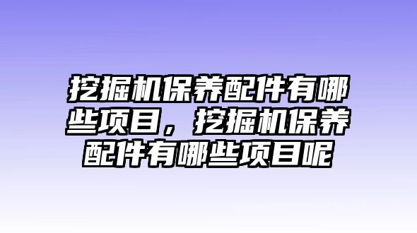 挖掘機保養配件有哪些項目，挖掘機保養配件有哪些項目呢