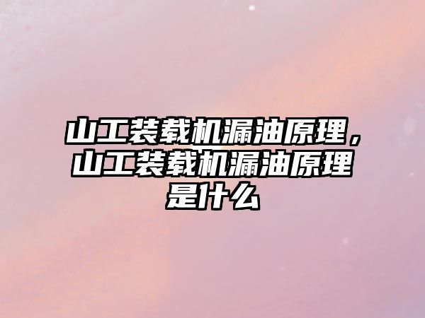 山工裝載機漏油原理，山工裝載機漏油原理是什么