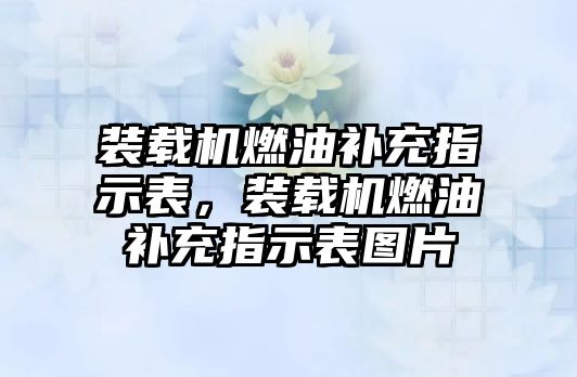 裝載機(jī)燃油補(bǔ)充指示表，裝載機(jī)燃油補(bǔ)充指示表圖片