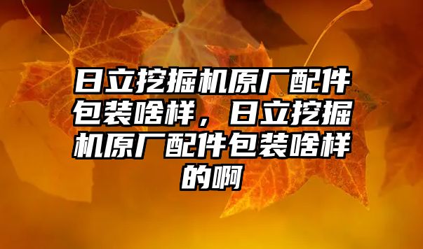 日立挖掘機原廠配件包裝啥樣，日立挖掘機原廠配件包裝啥樣的啊