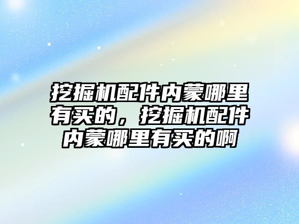 挖掘機配件內(nèi)蒙哪里有買的，挖掘機配件內(nèi)蒙哪里有買的啊