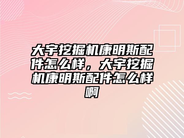 大宇挖掘機康明斯配件怎么樣，大宇挖掘機康明斯配件怎么樣啊