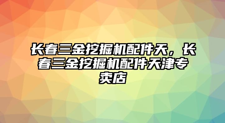 長春三金挖掘機配件天，長春三金挖掘機配件天津專賣店