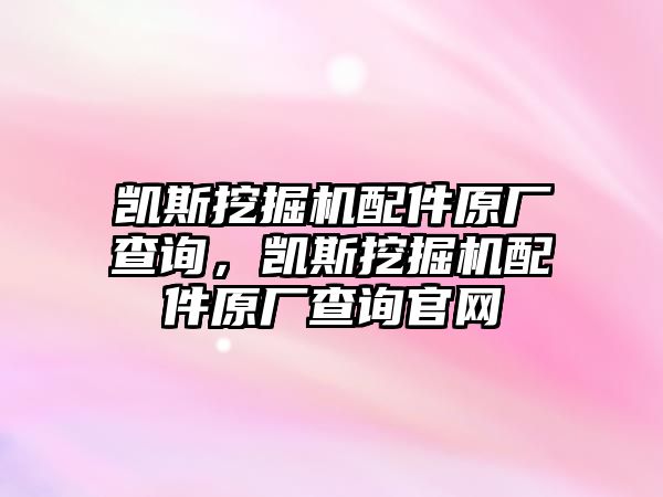 凱斯挖掘機配件原廠查詢，凱斯挖掘機配件原廠查詢官網