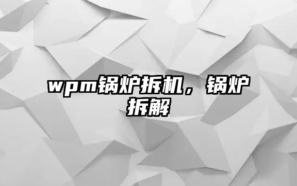 wpm鍋爐拆機，鍋爐拆解