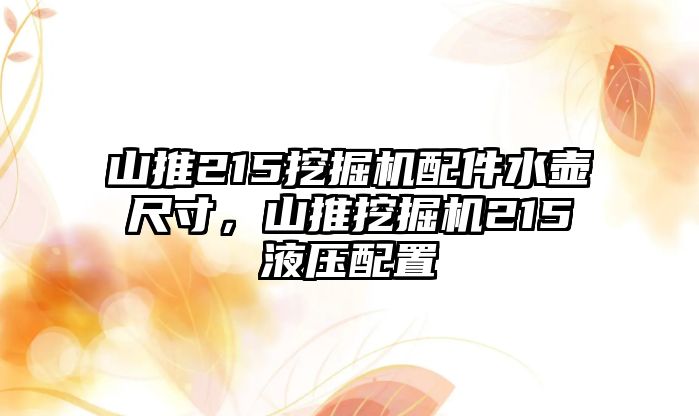 山推215挖掘機配件水壺尺寸，山推挖掘機215液壓配置