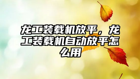 龍工裝載機放平，龍工裝載機自動放平怎么用