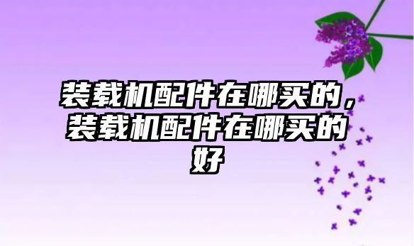 裝載機(jī)配件在哪買(mǎi)的，裝載機(jī)配件在哪買(mǎi)的好