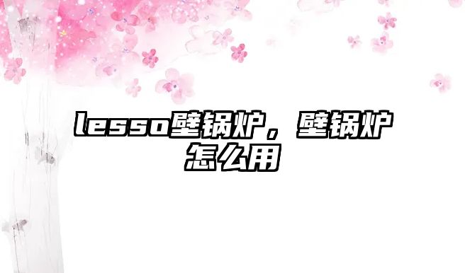 lesso壁鍋爐，壁鍋爐怎么用