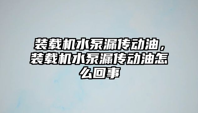 裝載機水泵漏傳動油，裝載機水泵漏傳動油怎么回事