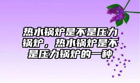 熱水鍋爐是不是壓力鍋爐，熱水鍋爐是不是壓力鍋爐的一種