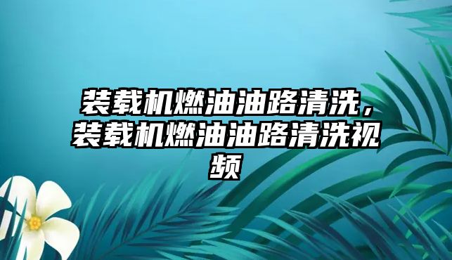 裝載機燃油油路清洗，裝載機燃油油路清洗視頻