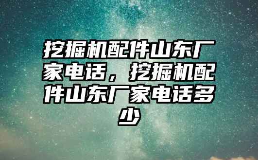 挖掘機配件山東廠家電話，挖掘機配件山東廠家電話多少