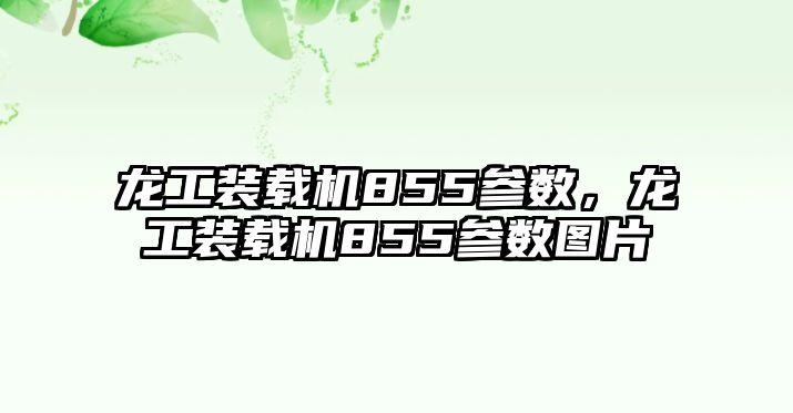 龍工裝載機855參數，龍工裝載機855參數圖片