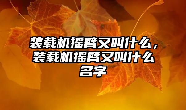 裝載機搖臂又叫什么，裝載機搖臂又叫什么名字