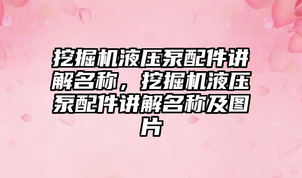 挖掘機液壓泵配件講解名稱，挖掘機液壓泵配件講解名稱及圖片