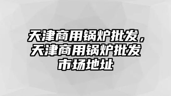 天津商用鍋爐批發，天津商用鍋爐批發市場地址