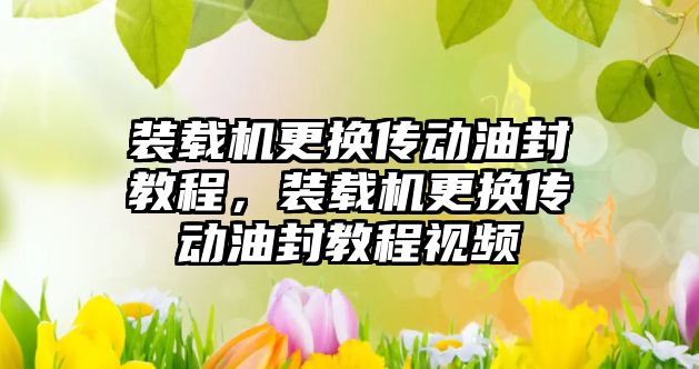 裝載機更換傳動油封教程，裝載機更換傳動油封教程視頻