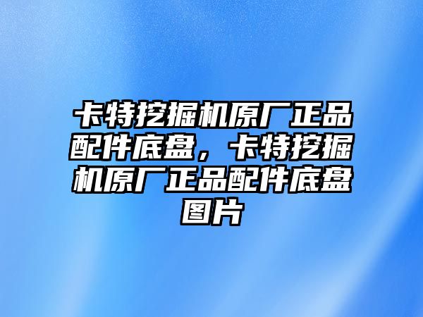 卡特挖掘機原廠正品配件底盤，卡特挖掘機原廠正品配件底盤圖片