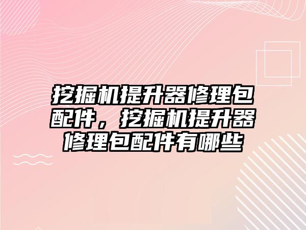 挖掘機提升器修理包配件，挖掘機提升器修理包配件有哪些