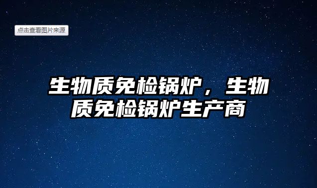 生物質免檢鍋爐，生物質免檢鍋爐生產商