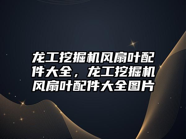 龍工挖掘機風扇葉配件大全，龍工挖掘機風扇葉配件大全圖片